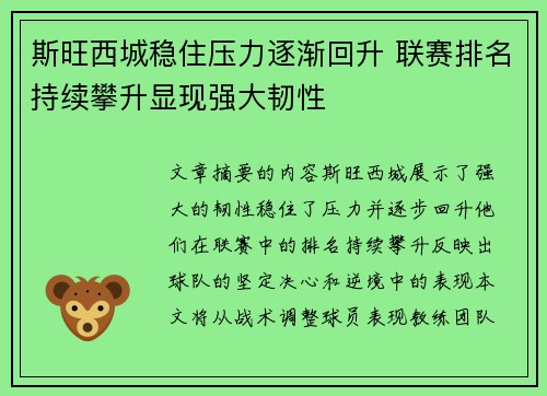 斯旺西城稳住压力逐渐回升 联赛排名持续攀升显现强大韧性