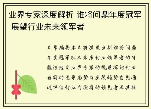 业界专家深度解析 谁将问鼎年度冠军 展望行业未来领军者